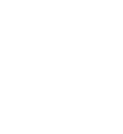 Elisa Gradanti